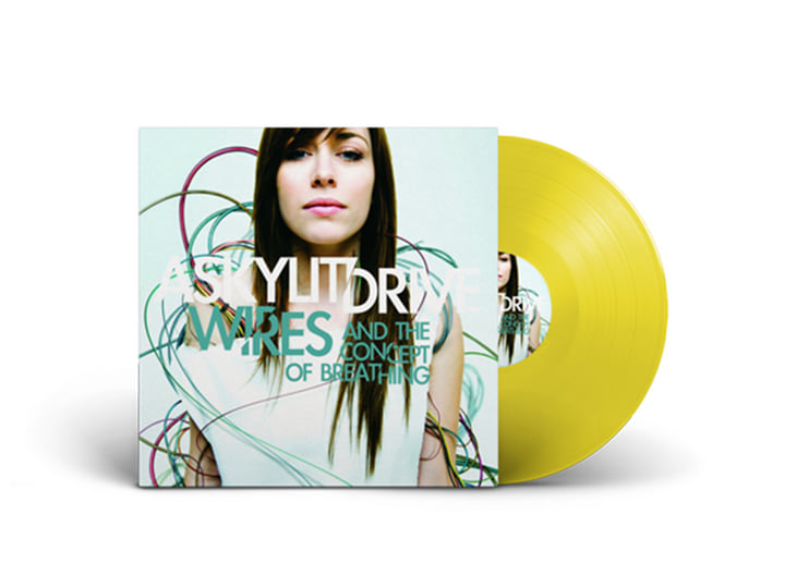 希少　A Skylit Drive Let go of the wires A Skylit Drive - 