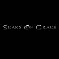 SCARS OF GRACE image