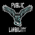 Public Liability image