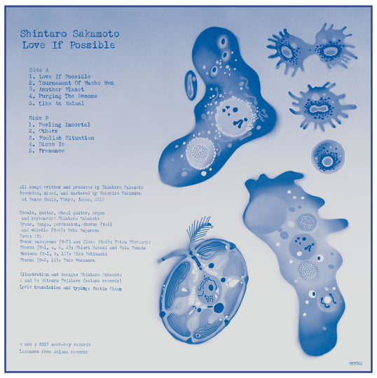 坂本慎太郎 / できれば愛を　Love If Possible LP LP Shintaro Sakamoto Love If Possible = できれば愛を + INSERT NEAR