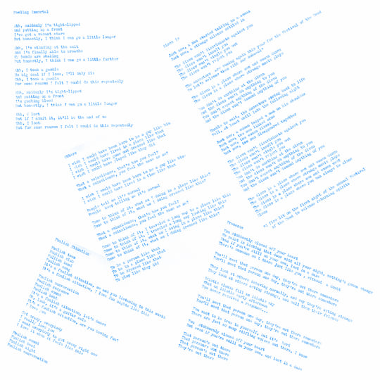 坂本慎太郎 / できれば愛を　Love If Possible LP Love If Possible | Shintaro Sakamoto