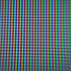 zynus thumbnail