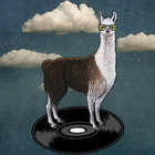 Darai Lama thumbnail