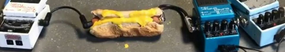 Scorn Dog — Photo