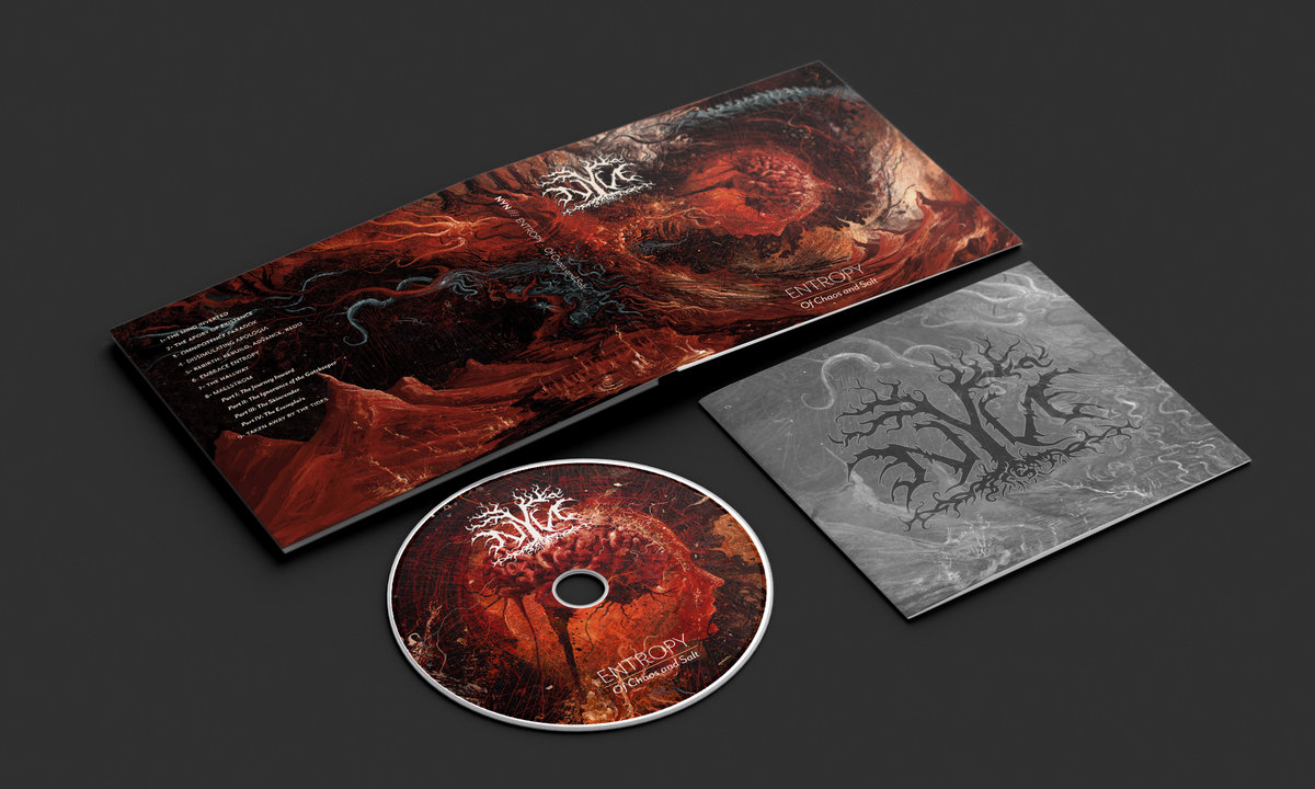 entropy of chaos and salt nyn downloadable album artwork