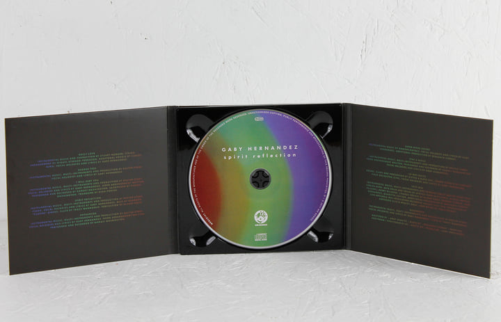 レア盤　Gaby Hernandez Spirit Reflection LP Spirit Reflection | Gaby Hernandez
