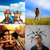 Pierce thumbnail