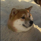 The Ben thumbnail
