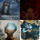 The Illusion of Democracy | Reflux