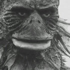 KDK-23 iVy - 幽泳プログラム | iVy | Solitude Solutions