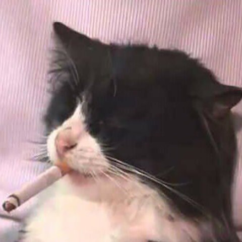 Eu Tambem Me Odeio Seu Cu