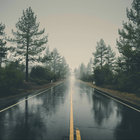 Lagunjera thumbnail