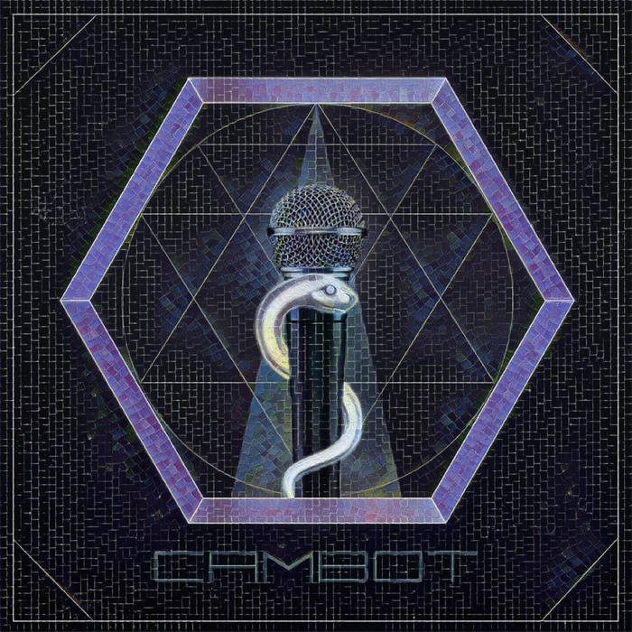 CAMBOT photo