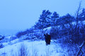 Snöhamn photo