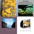 Mystic Inane - Ode To Joy Ep Mystic Inane - Ode To Joy Ep