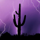 ohnonothim thumbnail