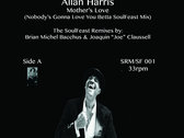 A SoulFeast - Allan Harris remixes - 12" Vinyl Release - REPRESS photo 