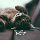 Angi thumbnail