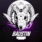 baustin thumbnail
