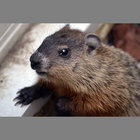 a011011011 thumbnail