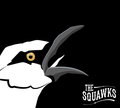 The Squawks image