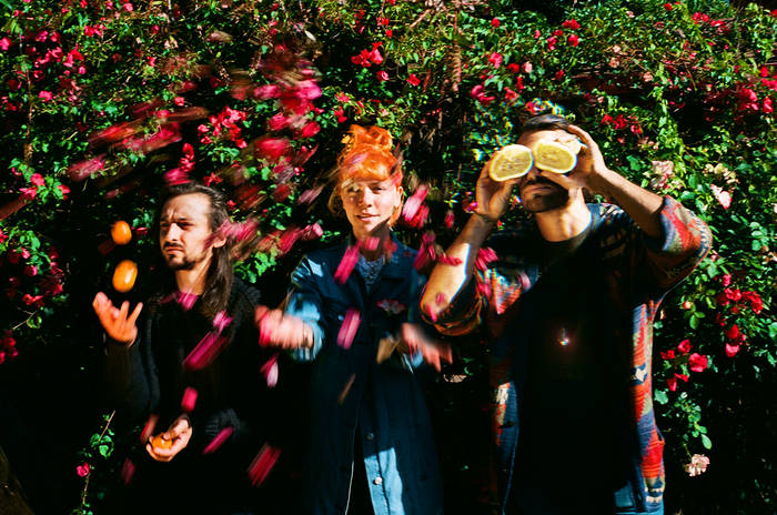 Music | Company of Thieves