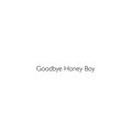 Goodbye Honey Boy image