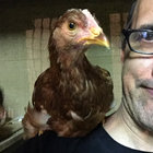 dirtywing thumbnail