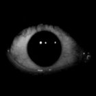 Janus Dutroux-Noir thumbnail