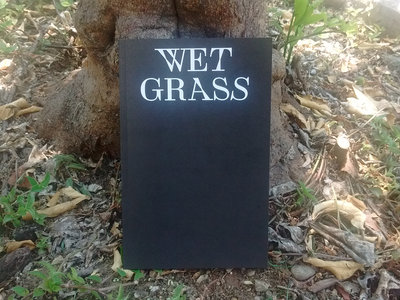 Wet Grass main photo