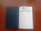 Wet Grass photo 