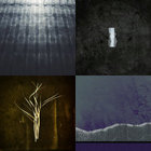 julie_mathys thumbnail