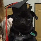 grumpil thumbnail
