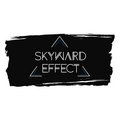 The Skyward Effect image