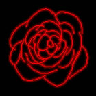 Ivy 🌹 thumbnail