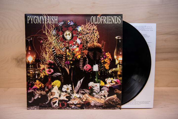 Old Friends | Pygmy Lush