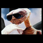 ChitonIV thumbnail