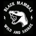 Black Mambas image