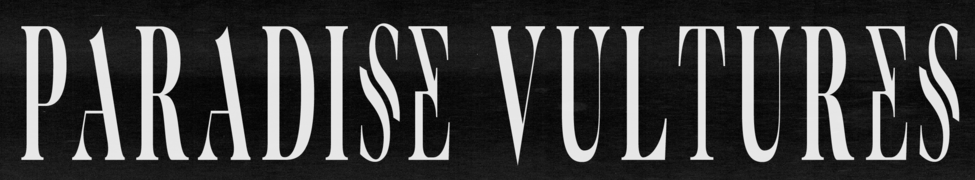 Paradise Vultures — Photo · logo