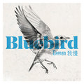 Bluebird image