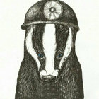 martin sainty thumbnail