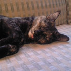 purling thumbnail