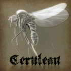 Cerulean thumbnail