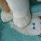 tomoyan thumbnail