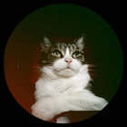 dubnium thumbnail