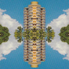 Damian Bertollini thumbnail