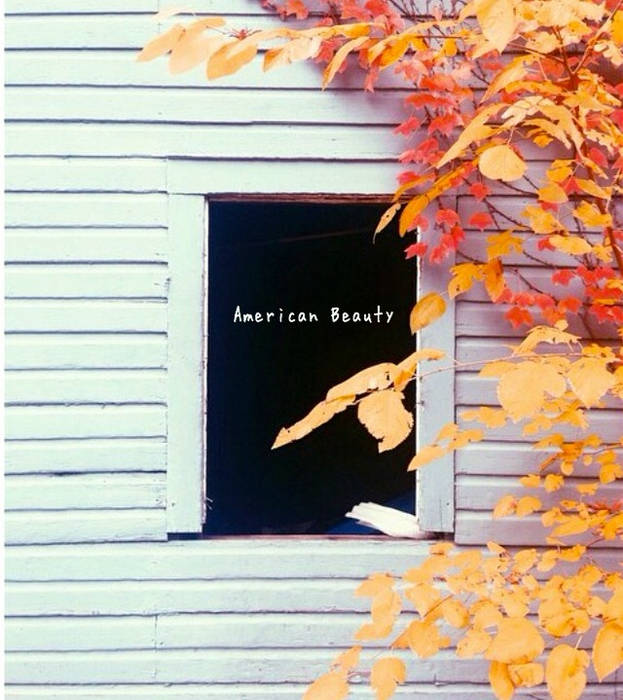 SACDハイブリッド American Beauty SACDハイブリッド American Beauty