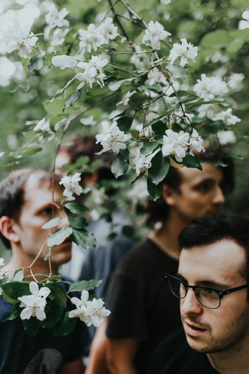 In Like a Lion, Out Like a Lamb everett