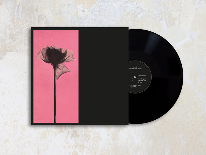 Llewellyn - The Other Side Of You | Lake People / Llewellyn