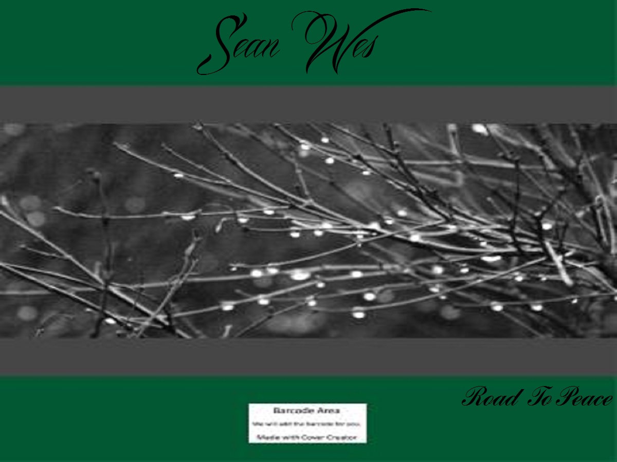 Road To Peace Sean Wes